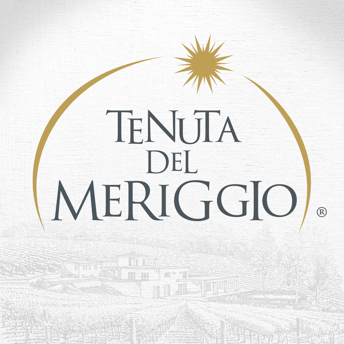 Tenuta del Meriggio logo